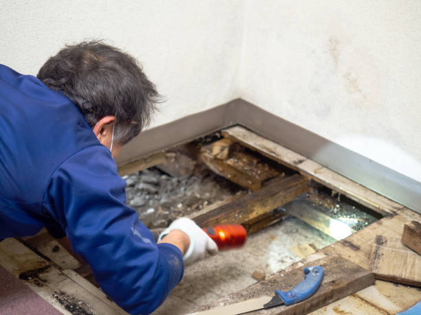 Best Mold Remediation for Schools in Oak Creek, WI