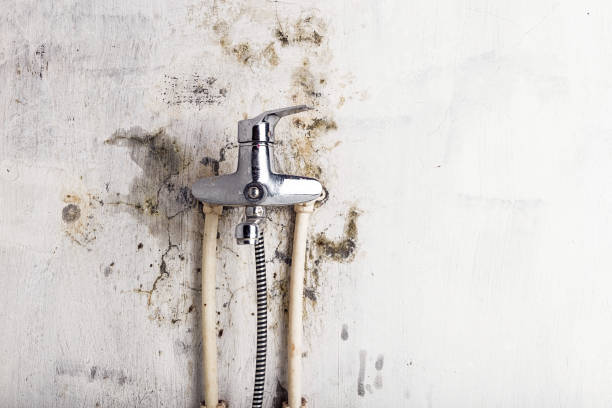 Best Emergency Mold Remediation in Oak Creek, WI