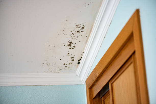 Oak Creek, WI Mold Remediation Company