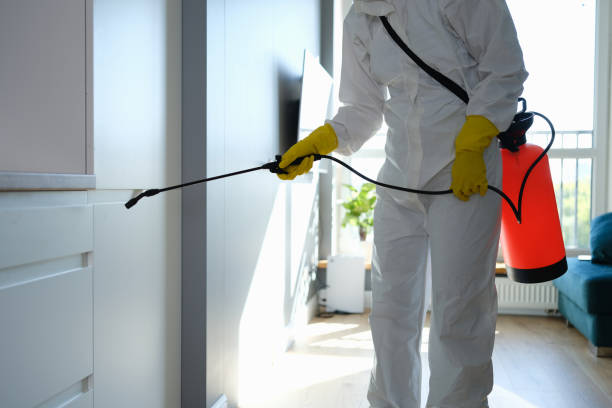 Best DIY Mold Remediation Support Services in Oak Creek, WI