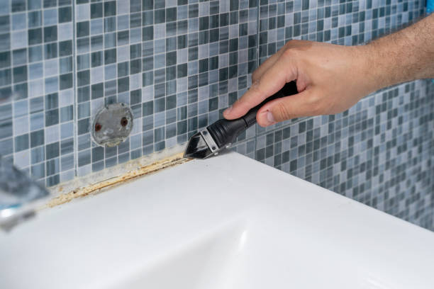 Best Basement Mold Remediation in Oak Creek, WI