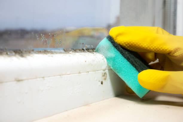 Best HVAC Mold Remediation in Oak Creek, WI