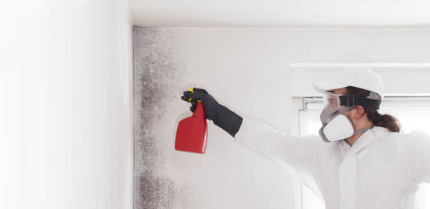 Best Mold Testing and Inspection Services in Oak Creek, WI