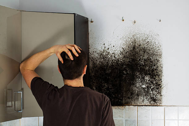 Best Industrial Mold Remediation in Oak Creek, WI