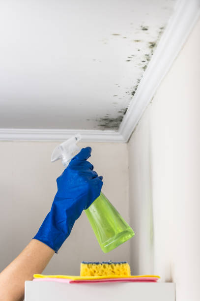 Oak Creek, WI Mold Remediation Company
